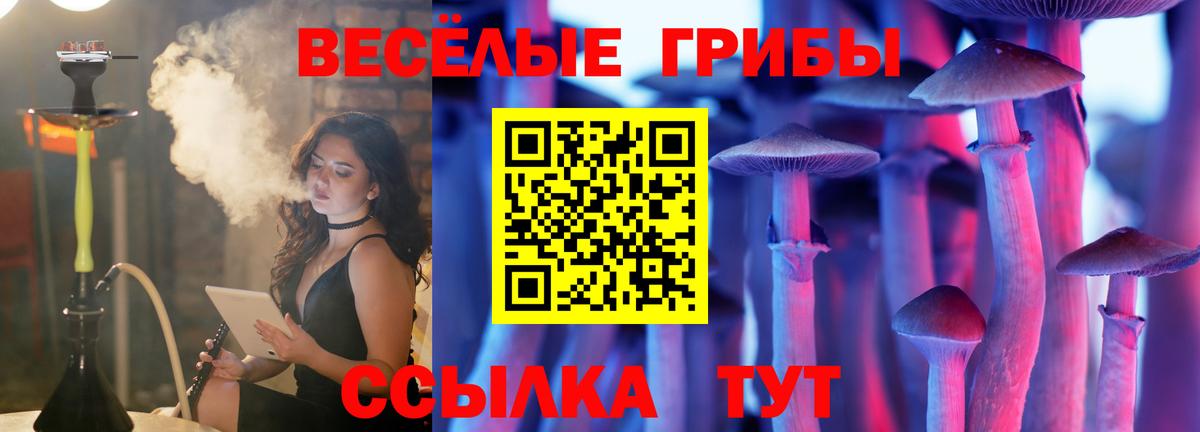 Псилоцибиновые грибы MAGIC MUSHROOMS Кунгур